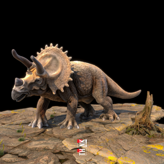 3D Triceratops