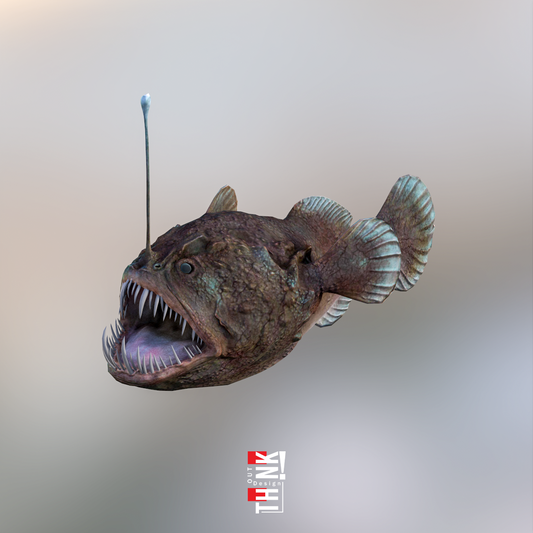 Anglerfish 3D Model