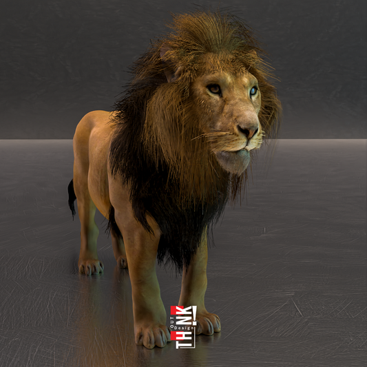 Lion 3D Model