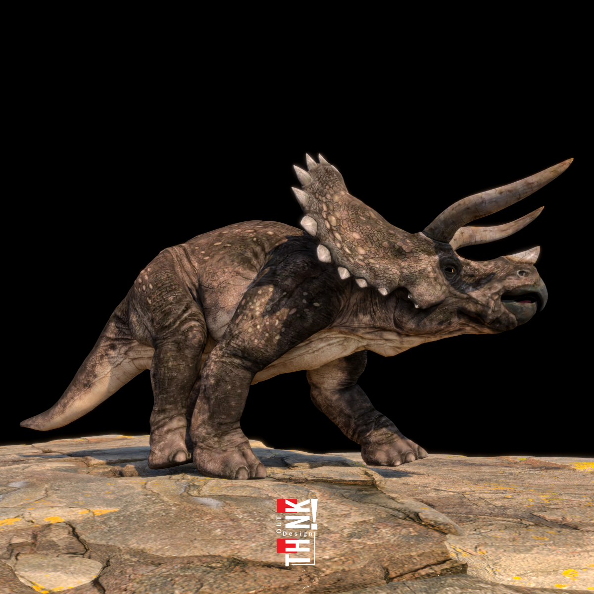 Triceratops 3D Model