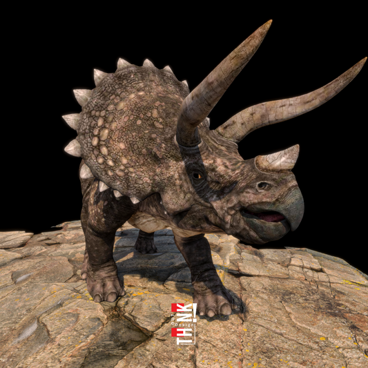 Triceratops 3D Model